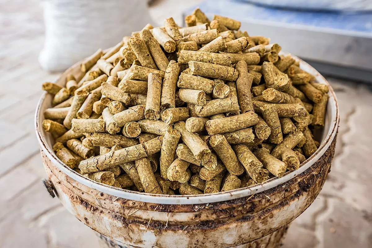 Animal feed pellets heaped in a metal bucket