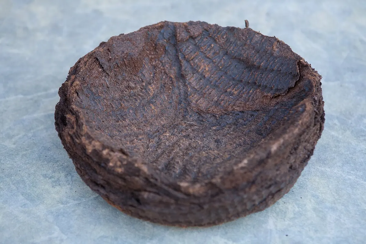Round sesame press cake left after oil pressing