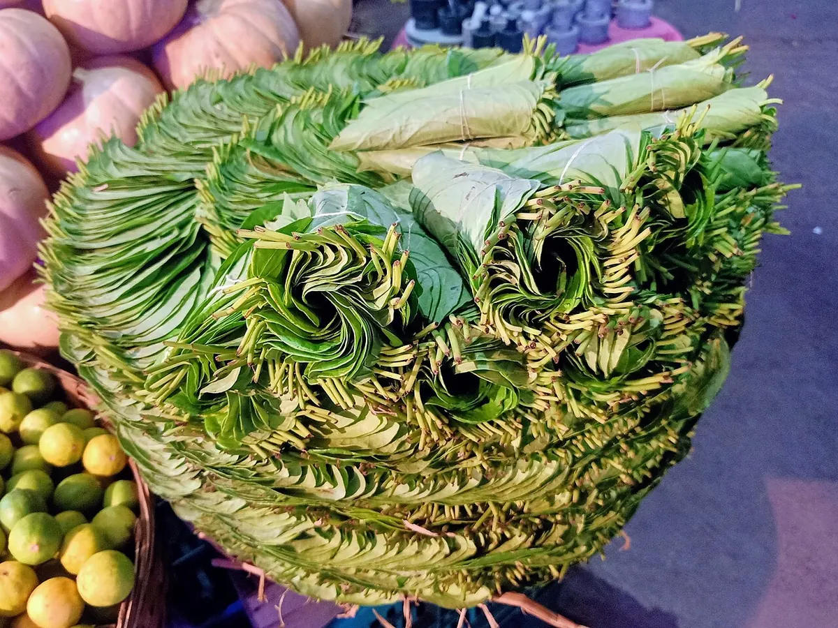 Large stack of fresh betel leaves at a market