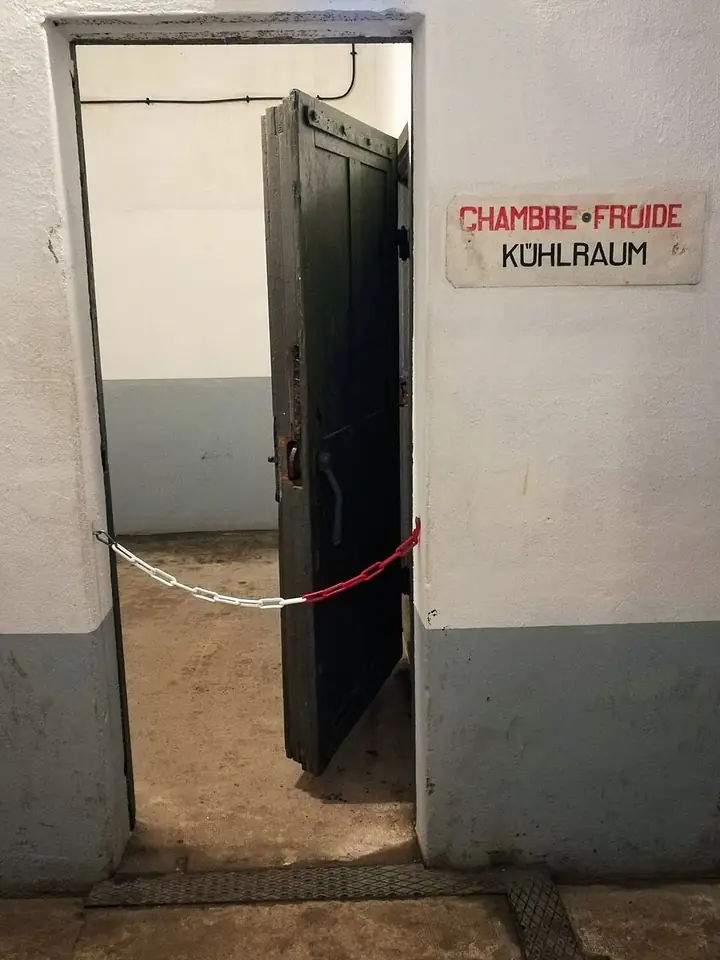 Cold room doors