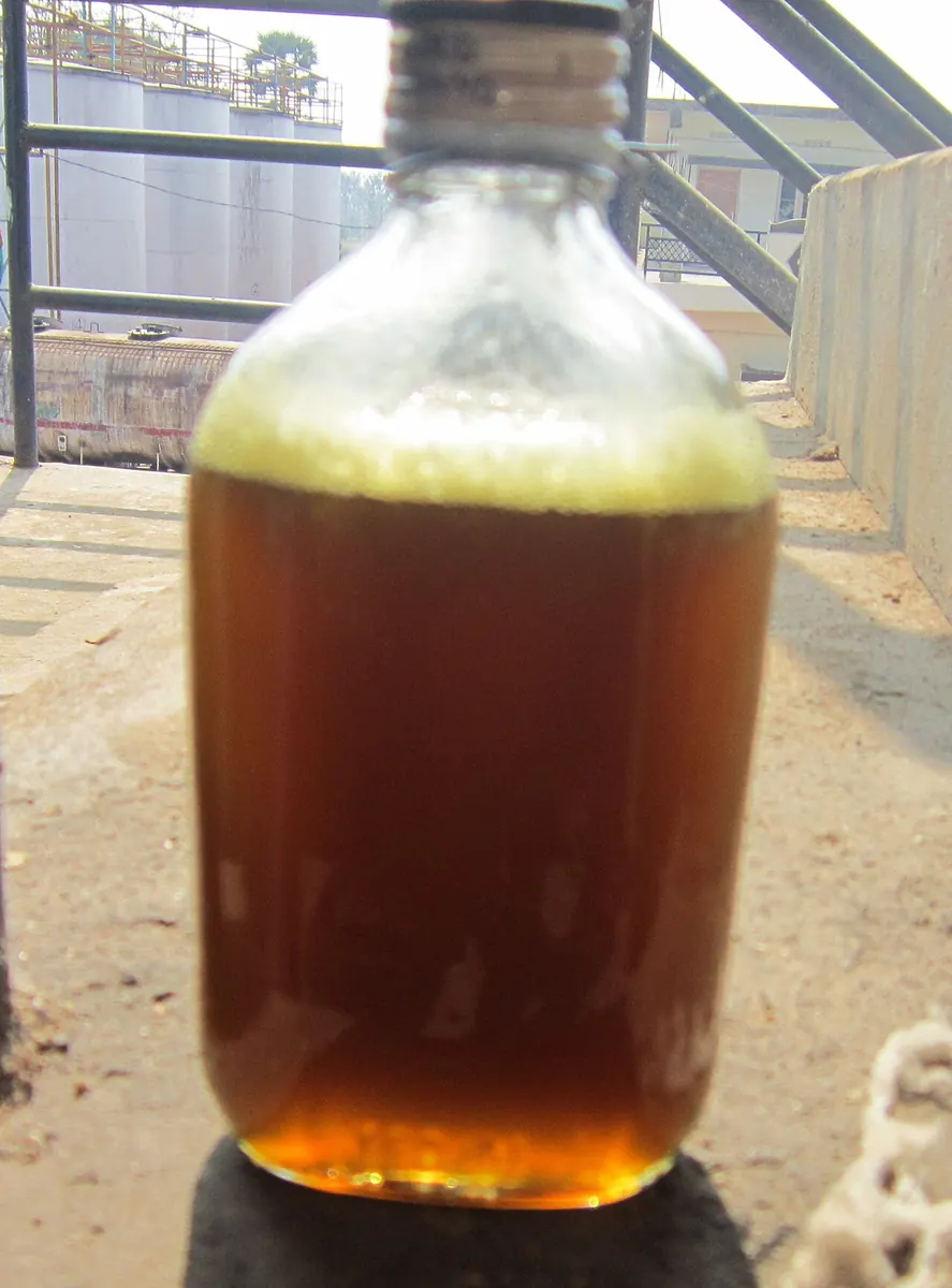 Bottle of crude rice bran oil outside an oil plant