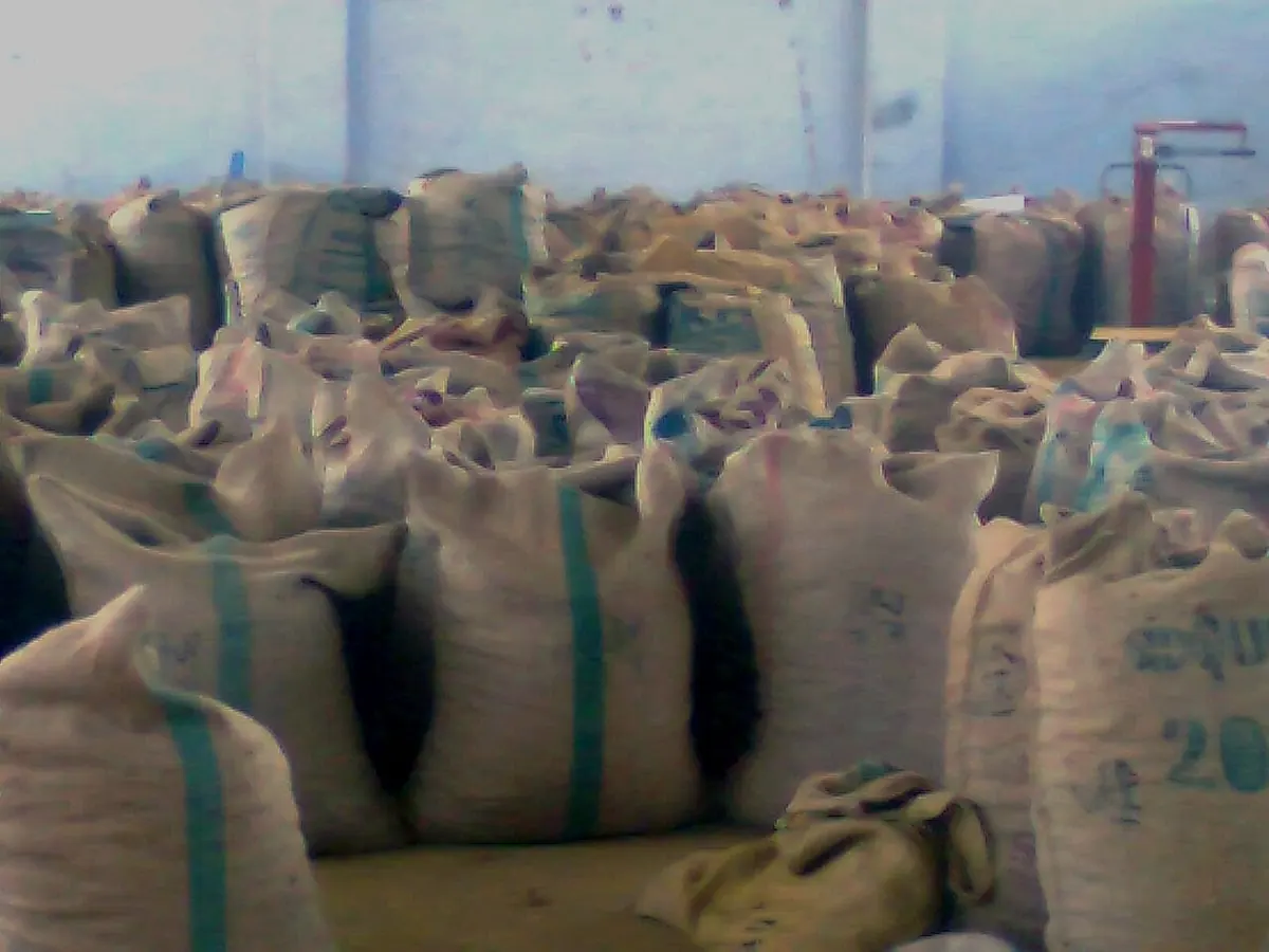 Filled jute sacks with green stripes in a warehouse