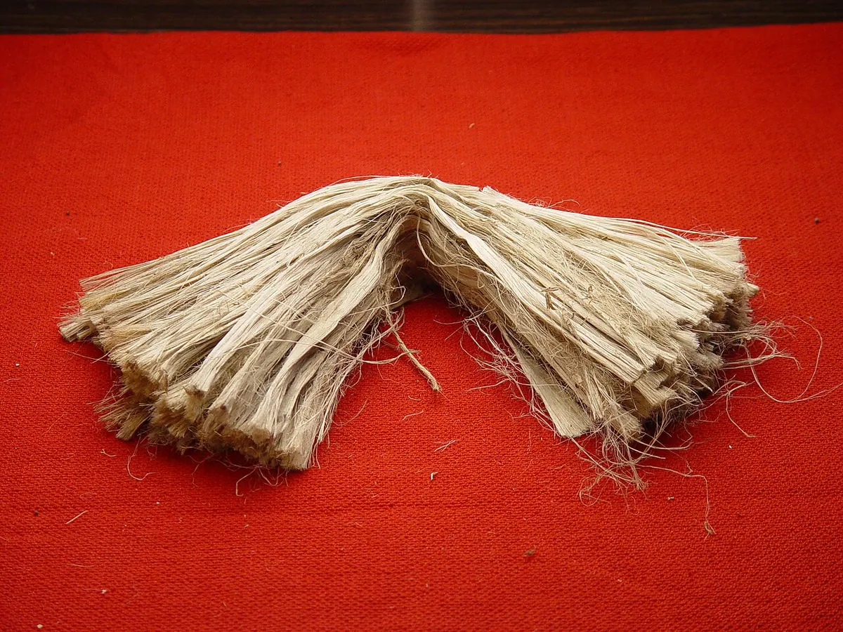Bundle of golden raw jute fibre on a red cloth
