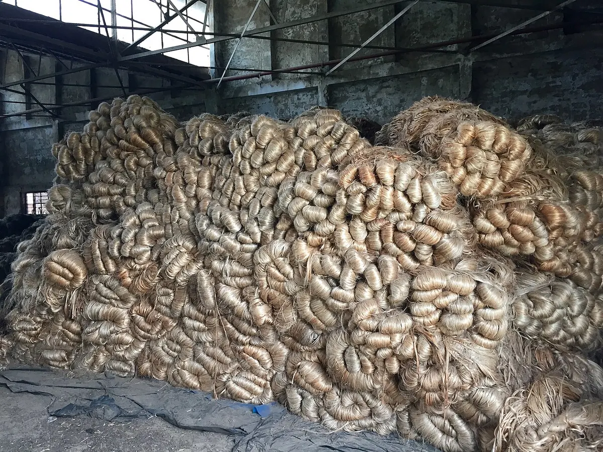 Stacked bales of raw kenaf fibre in a warehouse