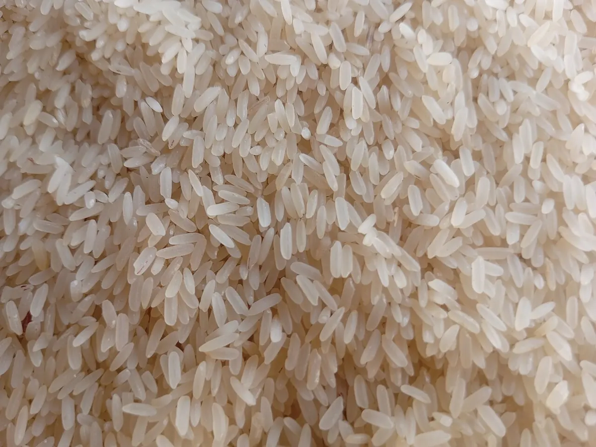 Close view of raw long grain rice