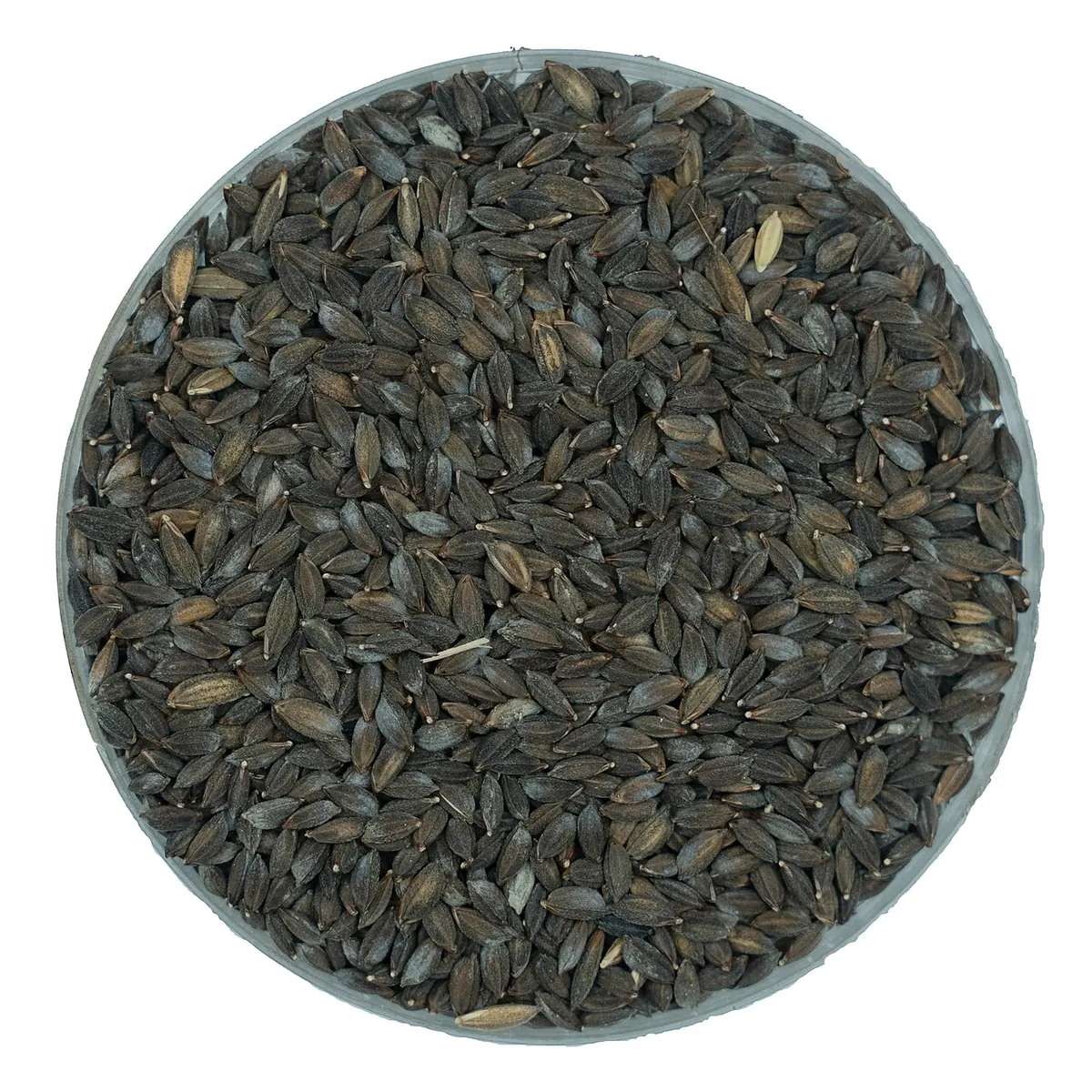 Kalijira rice paddy grains in a round dish