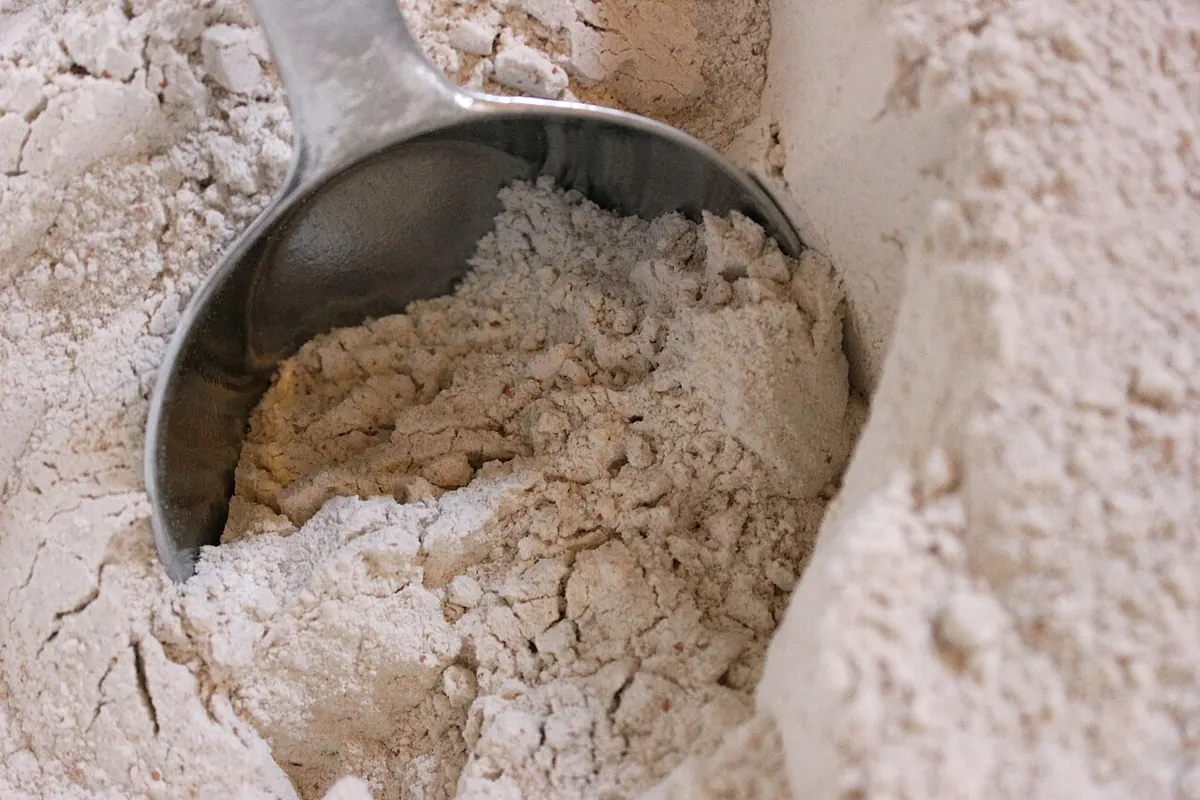 Metal scoop lifting wholemeal flour