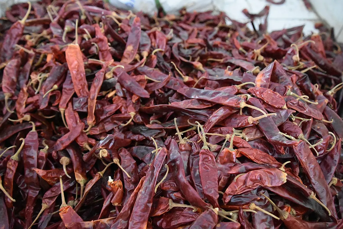 Pile of whole dried red chillies