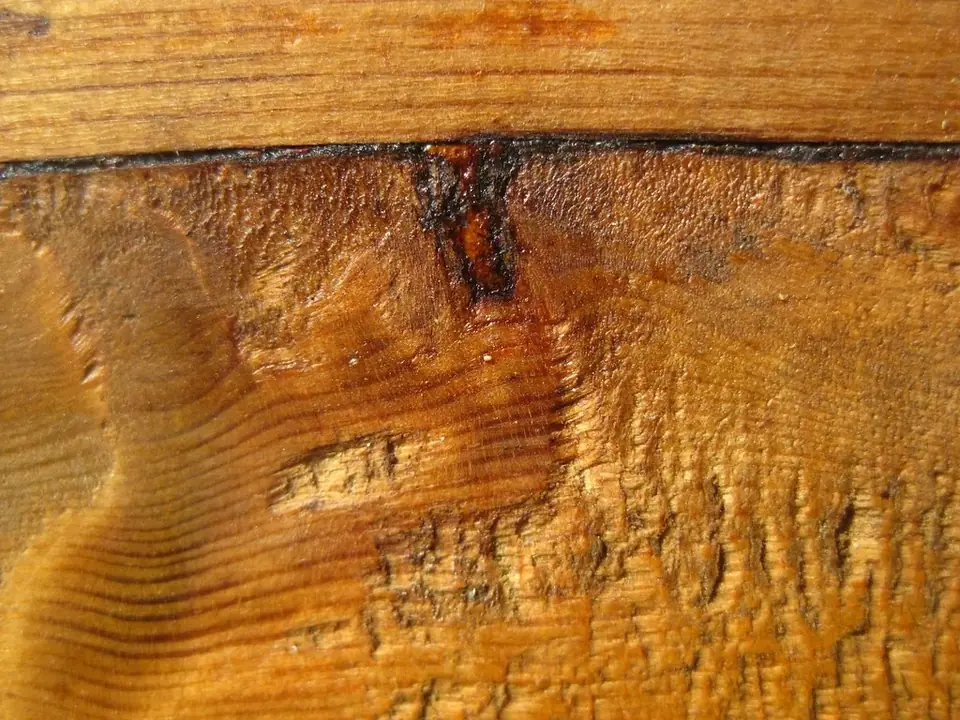 Varnished Wood Texture